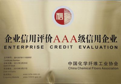 企業(yè)信用評價(jià)AAA